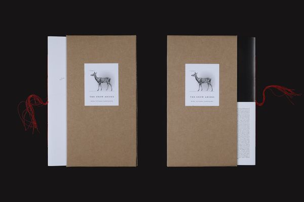 Image from a project on PhMuseum
