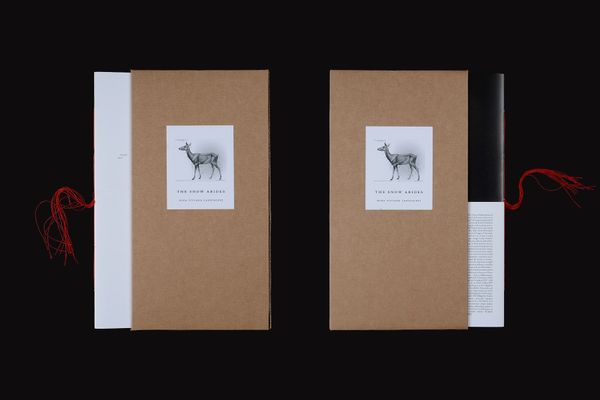 Image from a project on PhMuseum