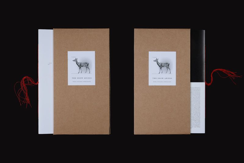 Image from a project on PhMuseum