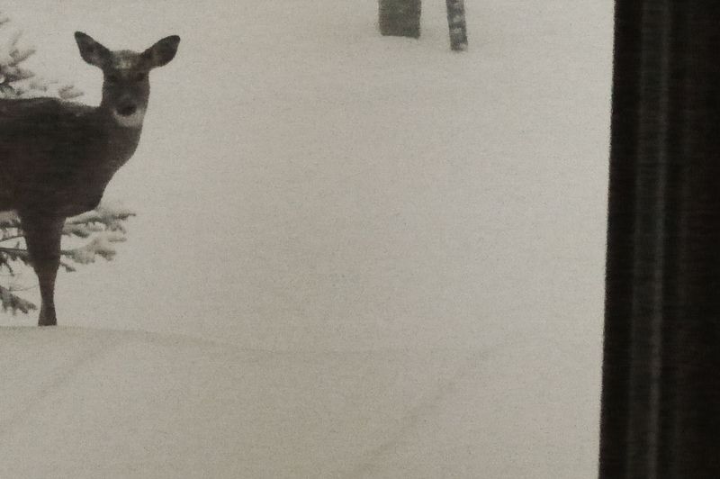 Image from a project on PhMuseum