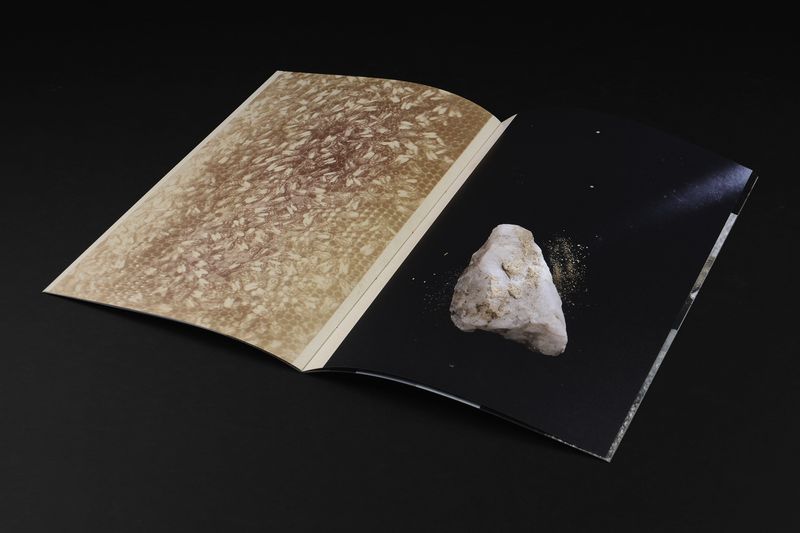 Image from a project on PhMuseum