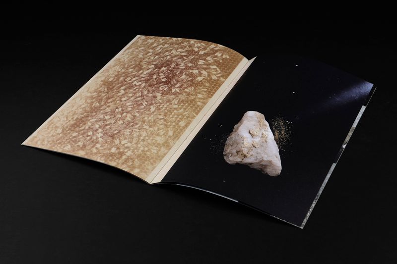 Image from a project on PhMuseum