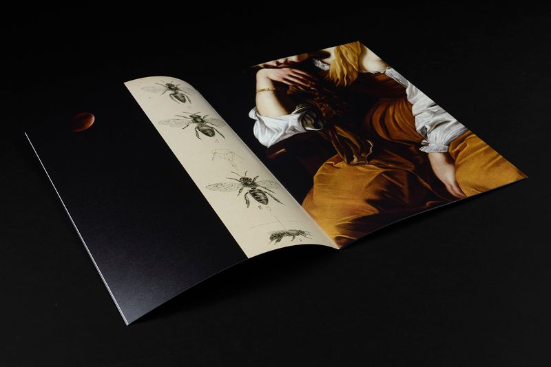 Image from a project on PhMuseum