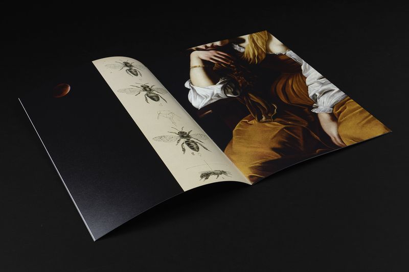 Image from a project on PhMuseum