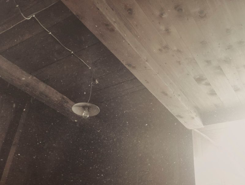 Image from a project on PhMuseum