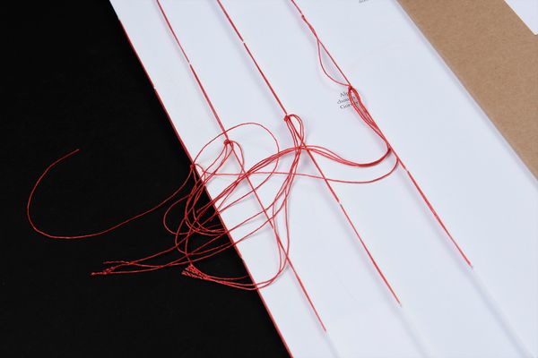 Image from a project on PhMuseum