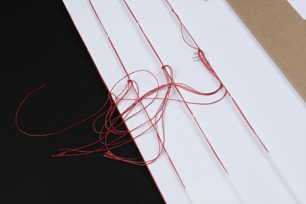 Image from a project on PhMuseum