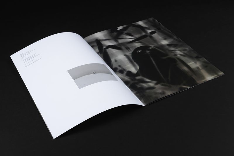 Image from a project on PhMuseum