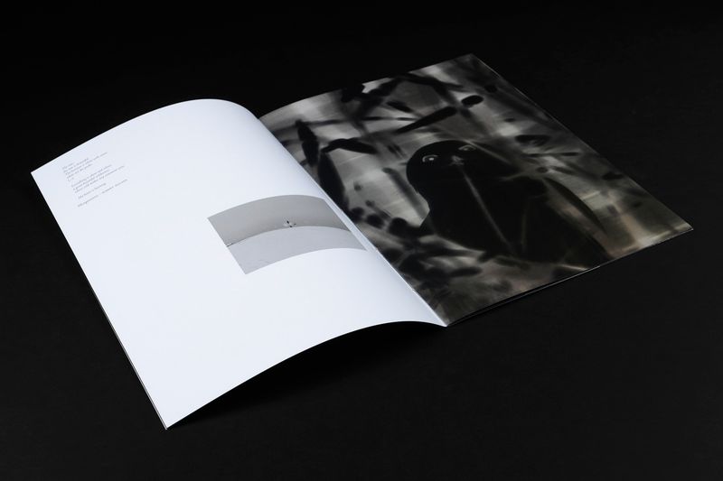 Image from a project on PhMuseum