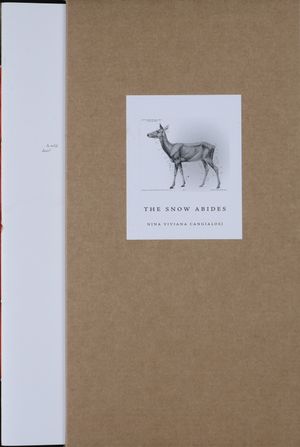The Snow Abides by Nina Viviana Cangialosi