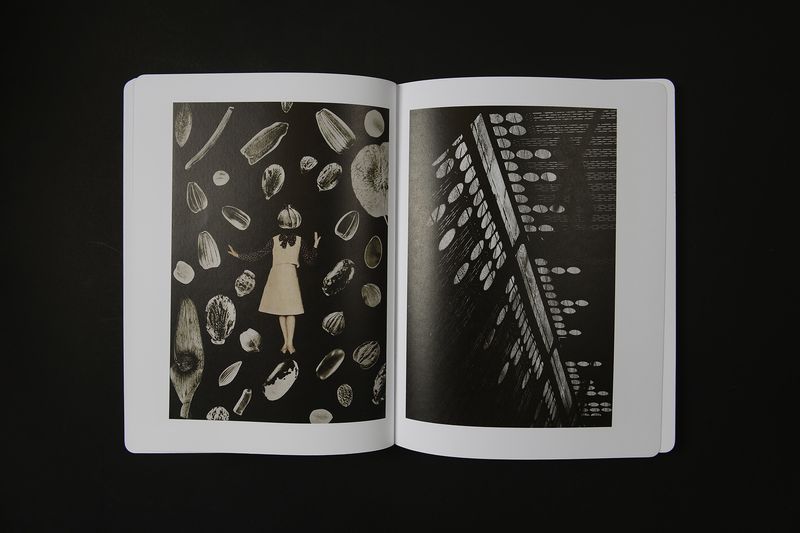 Image from a project on PhMuseum