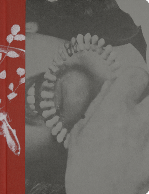 We Have Learned to Distrust Images by Francesco Gioia