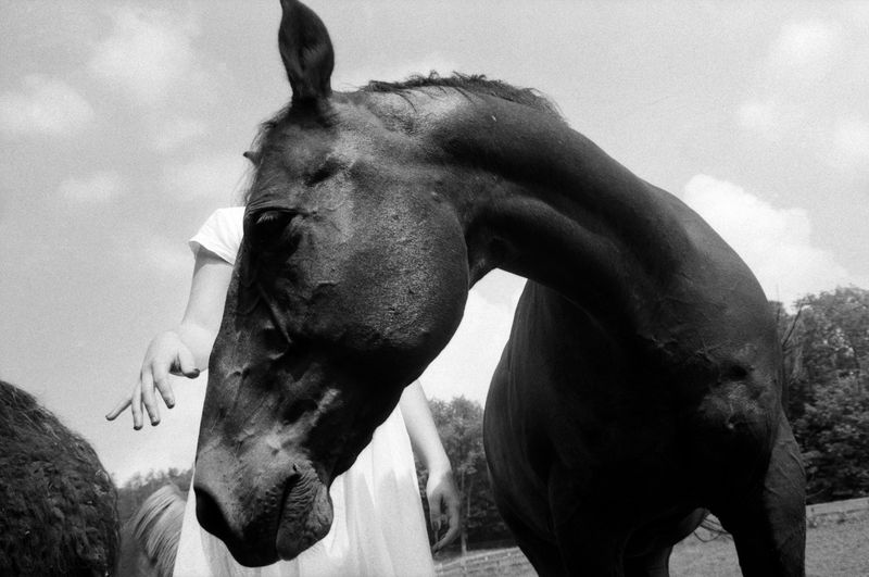 Image from a project on PhMuseum