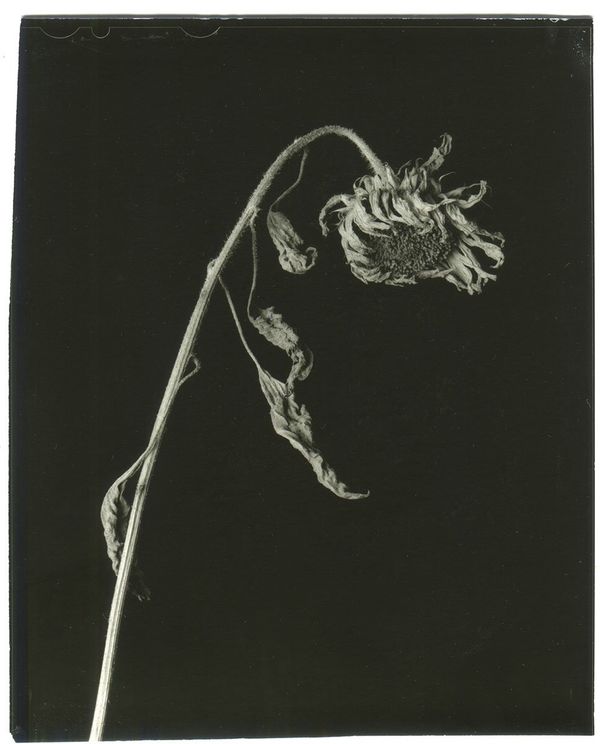 Image from a project on PhMuseum