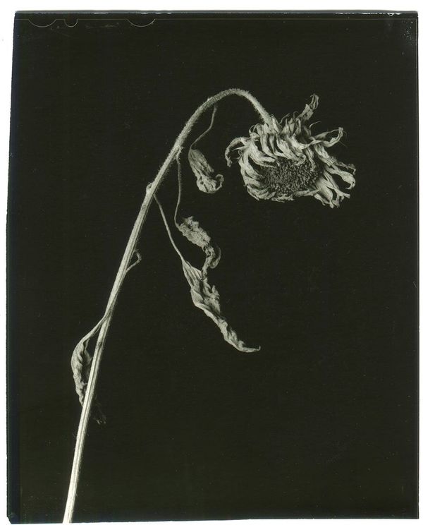 Image from a project on PhMuseum