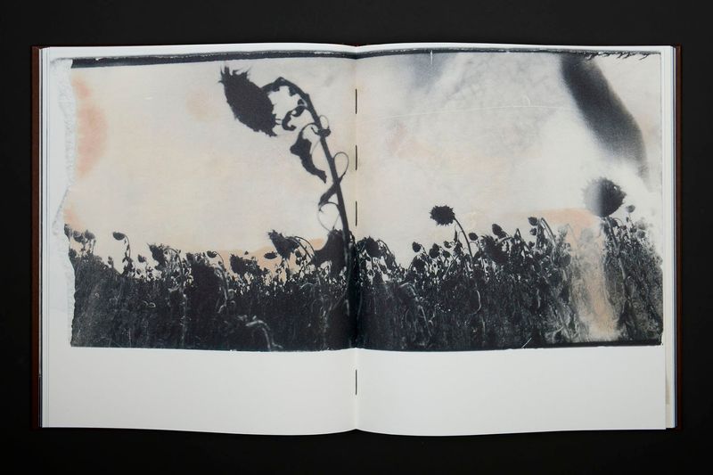 Image from a project on PhMuseum