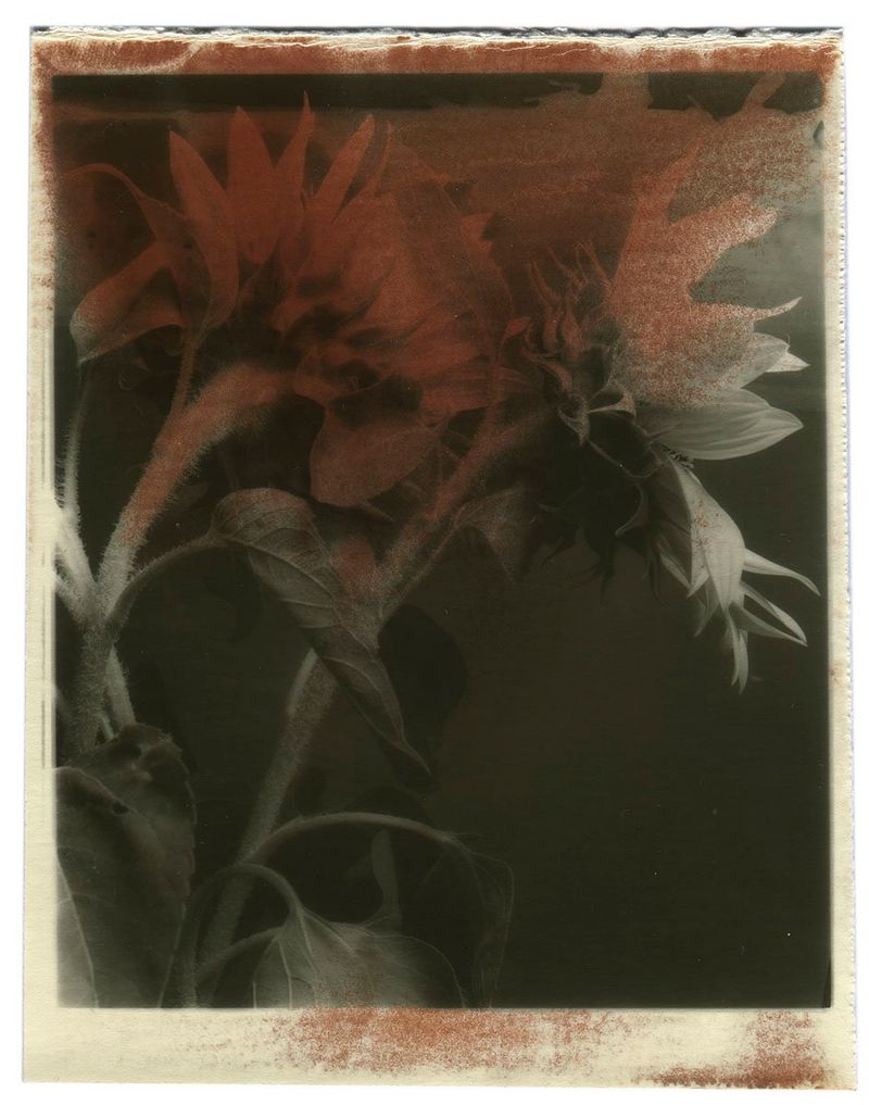 Image from a project on PhMuseum