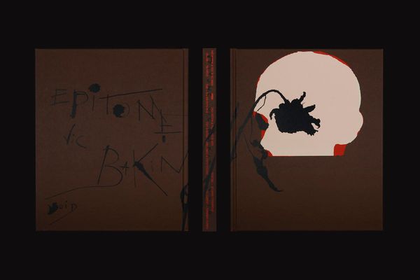 Image from a project on PhMuseum