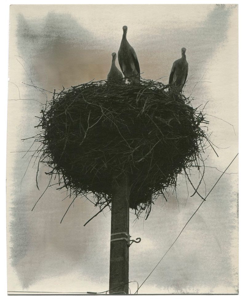 Image from a project on PhMuseum