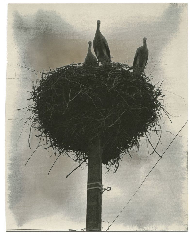 Image from a project on PhMuseum