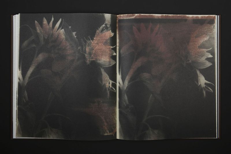 Image from a project on PhMuseum