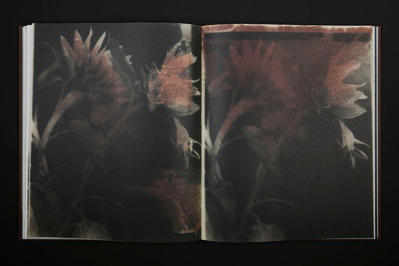 Image from a project on PhMuseum