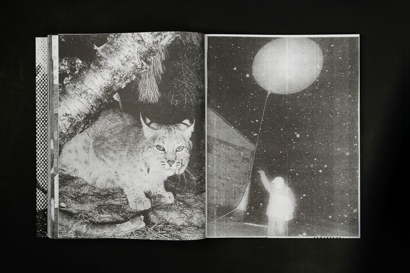 Image from a project on PhMuseum