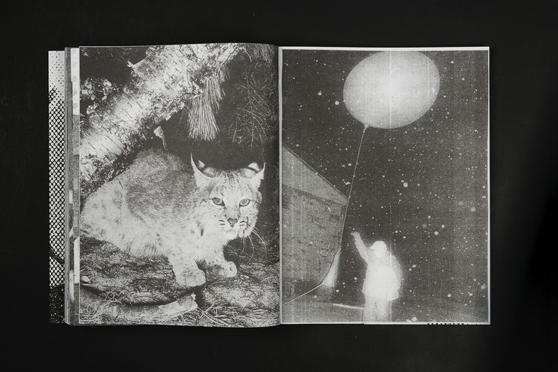 Image from a project on PhMuseum
