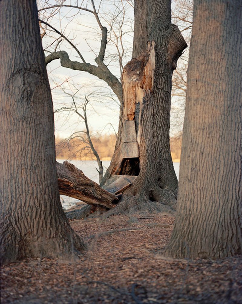 © Irina Rozovsky - Image from the In Plain Air photography project