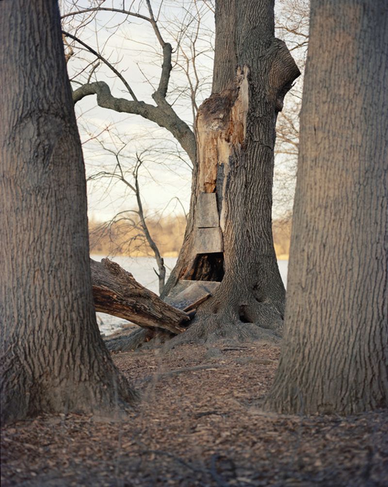 © Irina Rozovsky - Image from the In Plain Air photography project