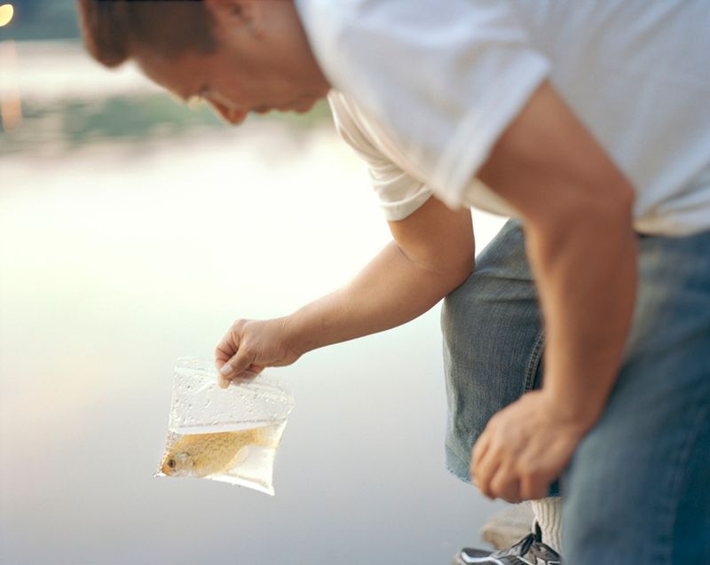 © Irina Rozovsky - Image from the In Plain Air photography project