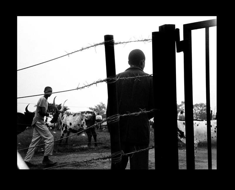 © Osheen Harruthoonyan - Image from the Currently Untitled photography project