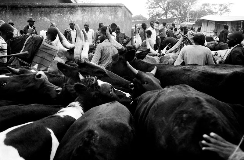 © Osheen Harruthoonyan - Image from the Currently Untitled photography project