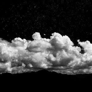 A Circle of Bluebirds