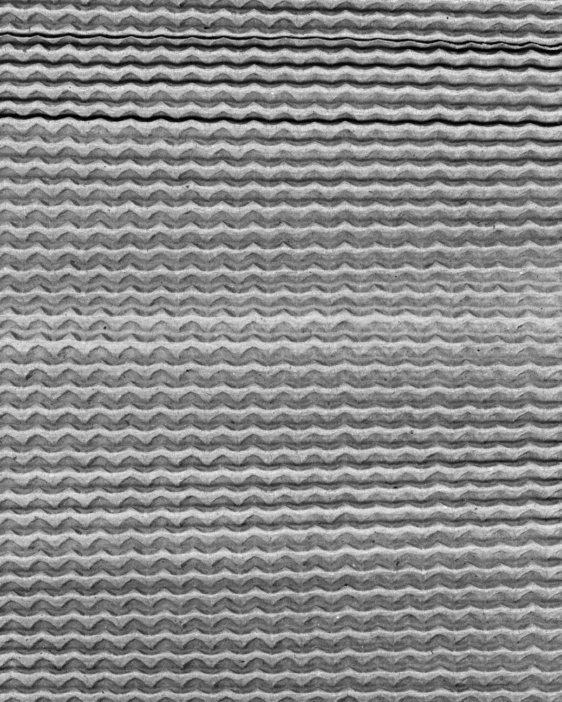 © Osheen Harruthoonyan - The Rising Seas