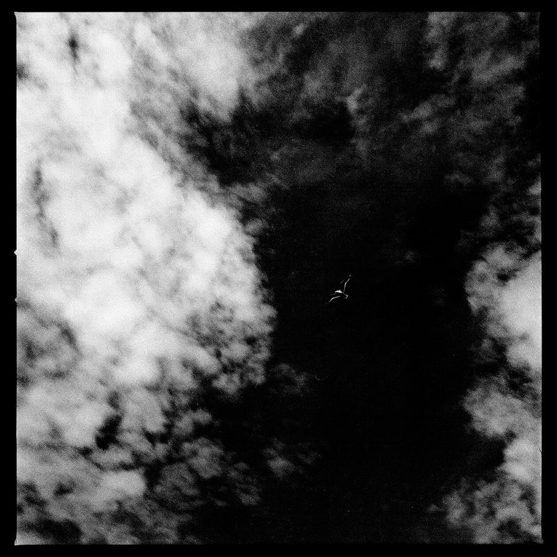 © Osheen Harruthoonyan - BIRD & SKYToned gelatin silver print