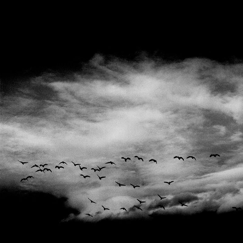 © Osheen Harruthoonyan - FINToned gelatin silver print