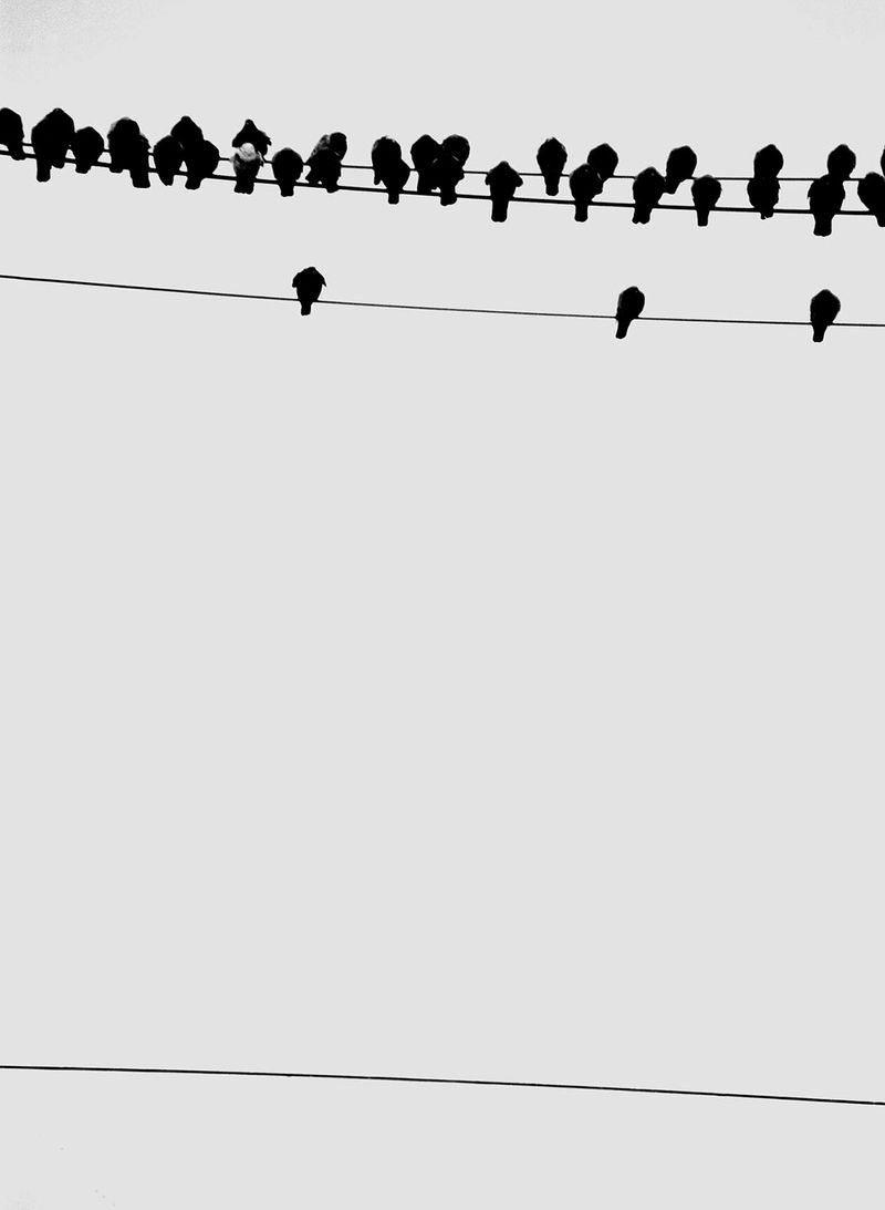 © Osheen Harruthoonyan - QUIET MURDERToned gelatin silver print