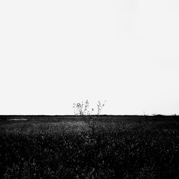 © Osheen Harruthoonyan - RIVER ROAD SUNSET IIIToned gelatin silver print