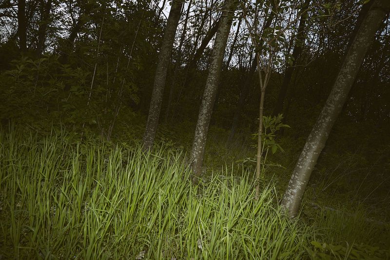 © sara barcaroli - Image from the Paradigm photography project