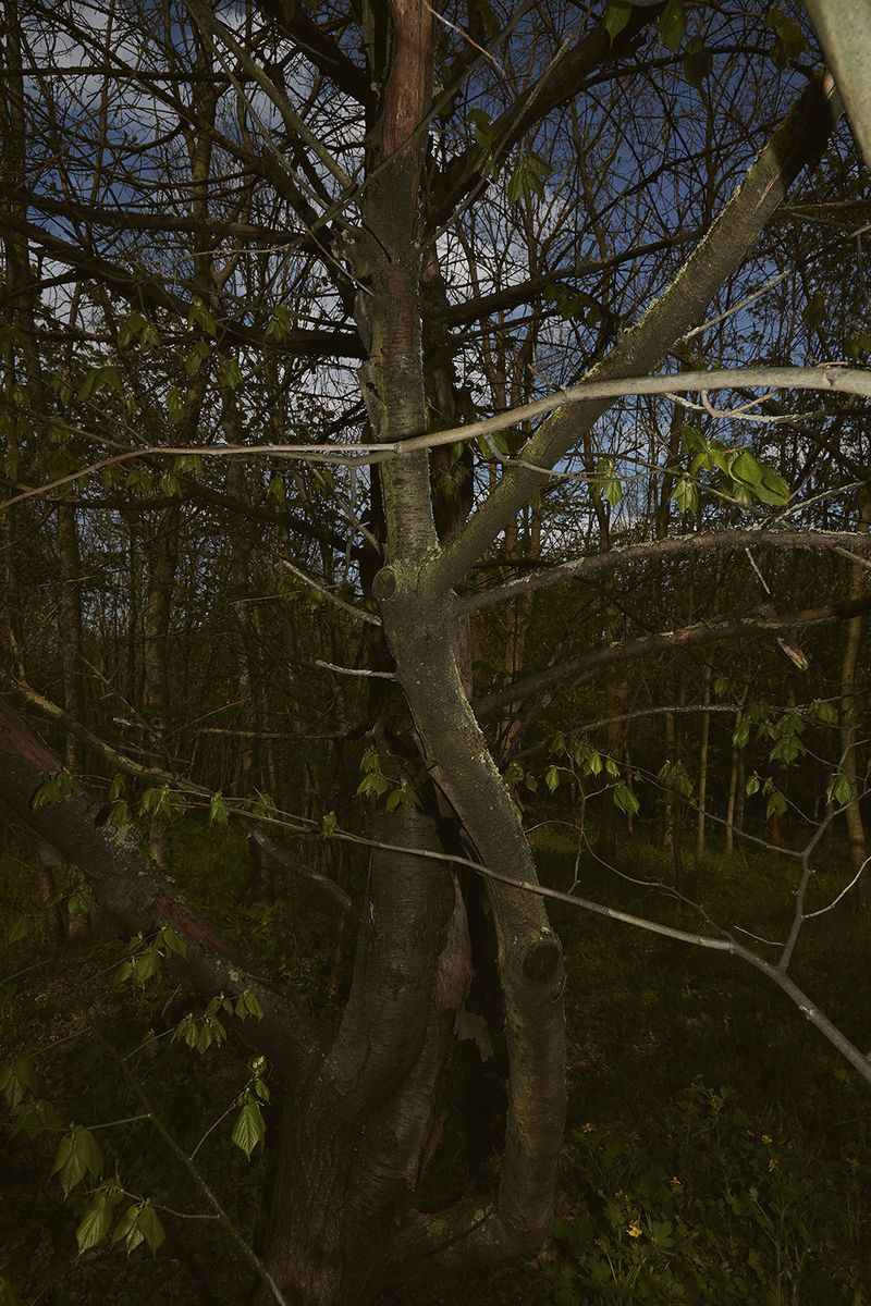 © sara barcaroli - Image from the Paradigm photography project