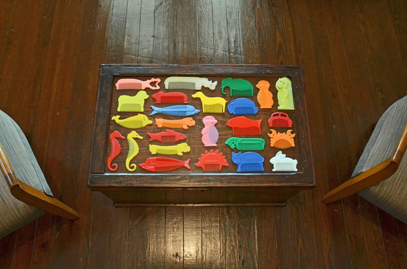 © Dale Niles - Image from the What Lies Within:the Eclectic Collections of Andrea Noel photography project