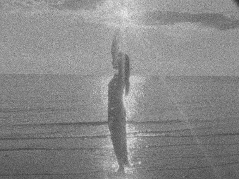 © Michaela Meadow - Image from the An Island Beneath the Sea photography project