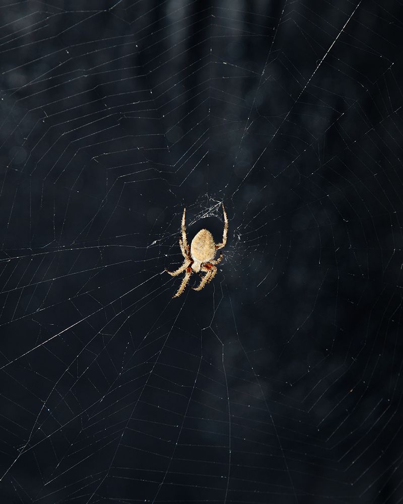 © Kendra Ward - Image from the There is No Home photography project