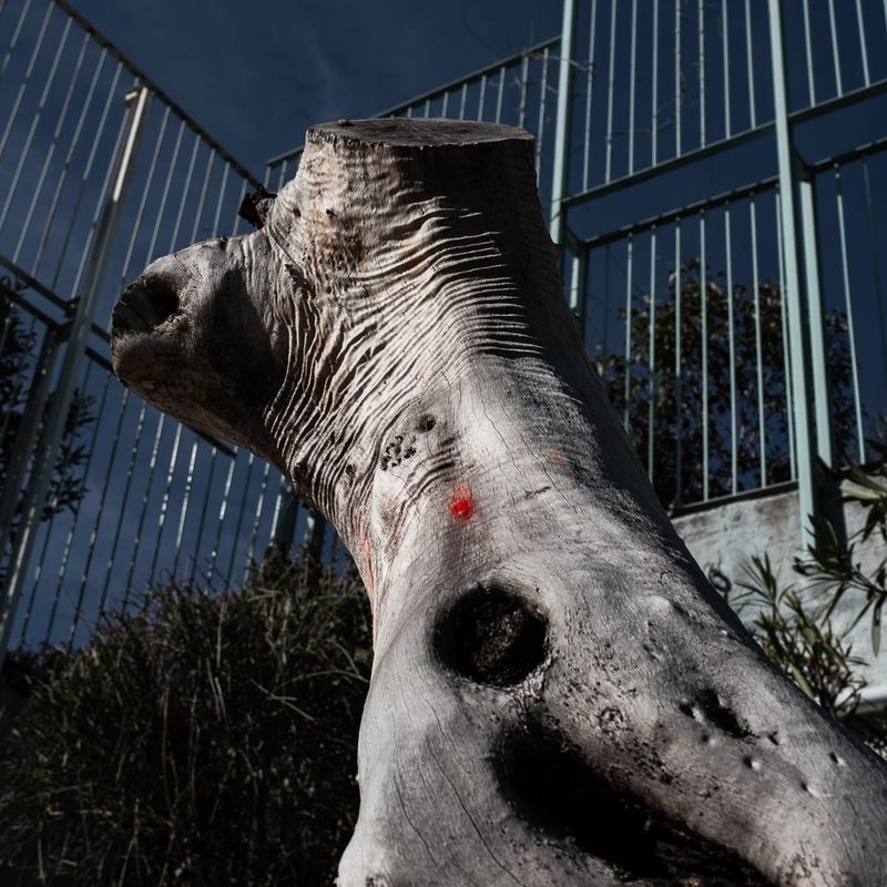 © Eleftheria Madentzidou - Image from the Every Time in May photography project