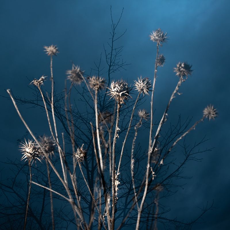 © Eleftheria Madentzidou - Image from the Every Time in May photography project