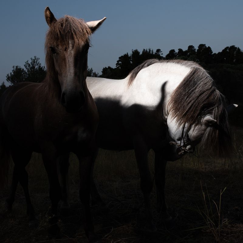 © Eleftheria Madentzidou - Image from the Every Time in May photography project