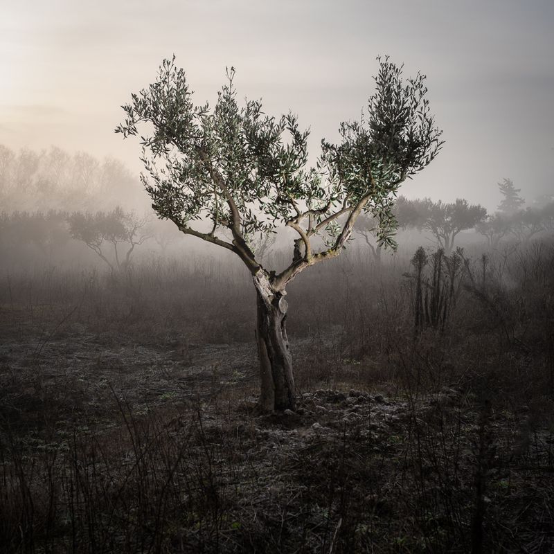 © Eleftheria Madentzidou - Image from the Every Time in May photography project