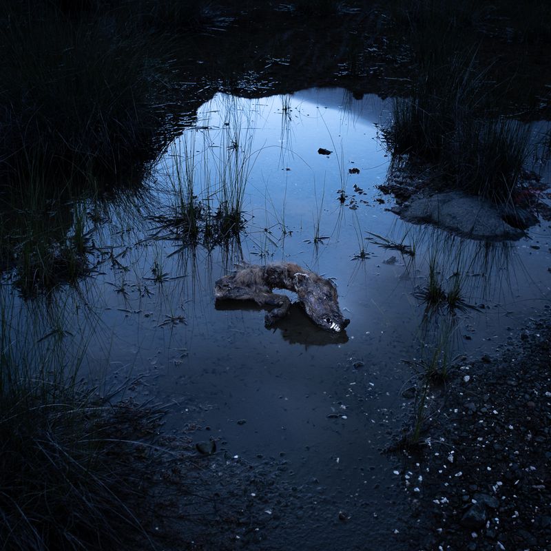© Eleftheria Madentzidou - Image from the Every Time in May photography project