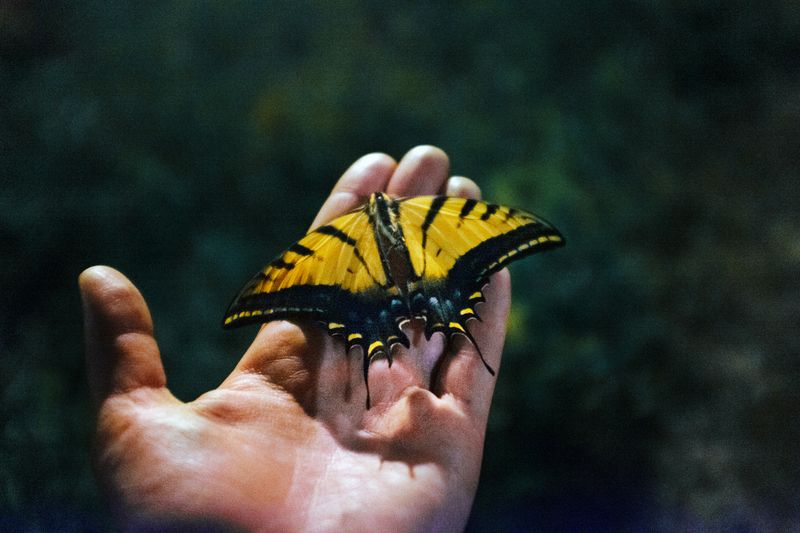 Image from a project on PhMuseum